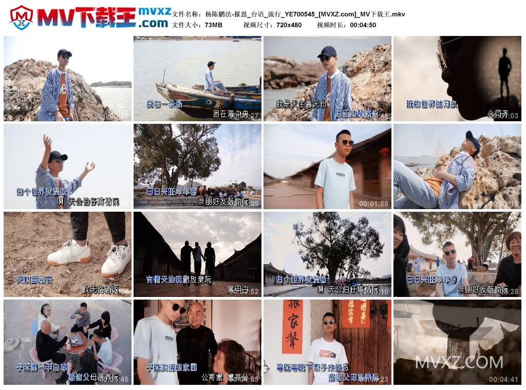 杨陈鹏法-报恩_台语_流行_YE700545